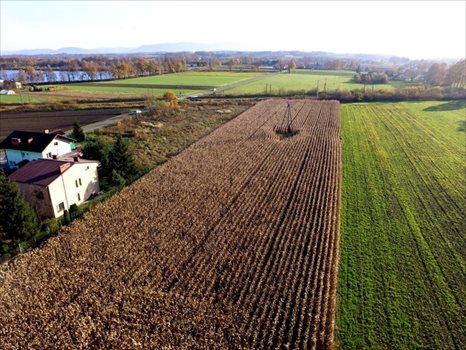 Działka budowlana na sprzedaż Dankowice, Spokojna 3 787m2 Foto 8