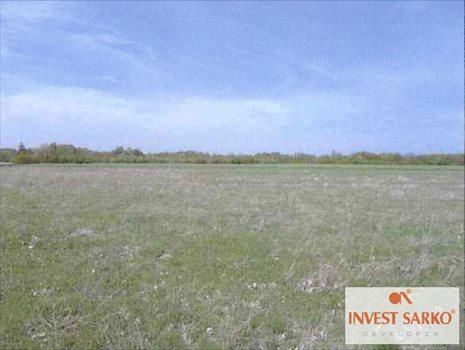 Działka inna na sprzedaż Połchowo, Ul.Pucka 39 800m2 Foto 3
