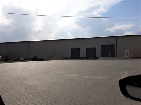 Lokal użytkowy na wynajem elbląg 1 750m2 Foto 3