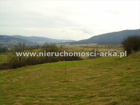 Działka budowlana na sprzedaż Dobra 1 455m2 Foto 3