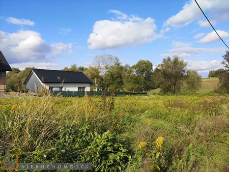 Działka budowlana na sprzedaż Węgrzce 1 147m2 Foto 4