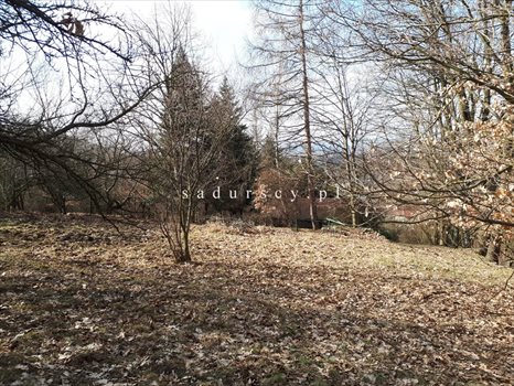 Działka budowlana na sprzedaż Kraków, Krowodrza, Wola Justowska, Orla 5 766m2 Foto 4