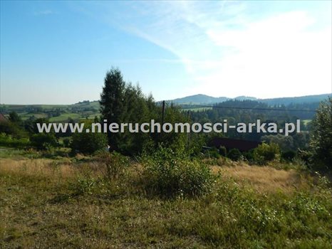 Działka budowlana na sprzedaż Mszana Dolna 1 531m2 Foto 5