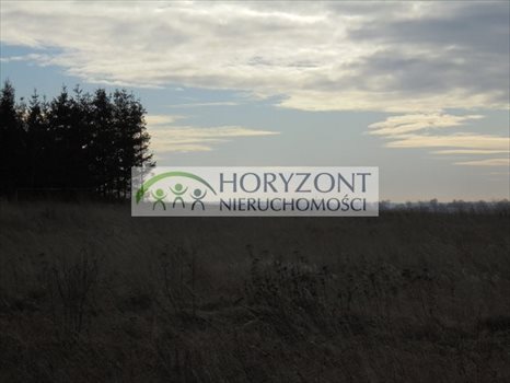Działka budowlana na sprzedaż Małkowo 1 107m2 Foto 8