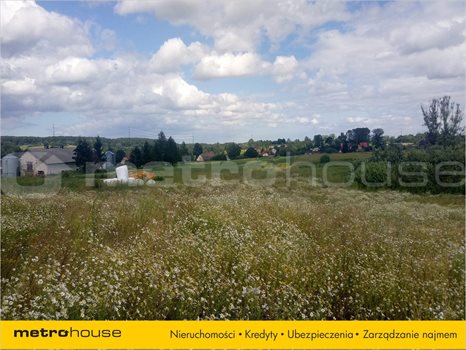 Działka inna na sprzedaż Mierzeszyn, Trąbki Wielkie 3 005m2 Foto 5