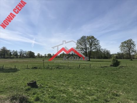 Działka rekreacyjna na sprzedaż Arciechów 1 283m2 Foto 4
