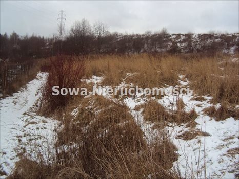 Działka budowlana na sprzedaż Wałbrzych, Piaskowa Góra 7 968m2 Foto 4