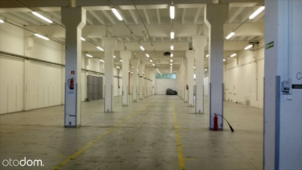 Lokal użytkowy na wynajem BEZPOSRENIO - Magazyn Białystok 2700 m2 - wys. 11m 2 700m2 Foto 7