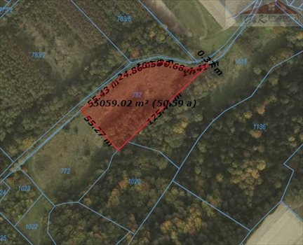 Działka rekreacyjna na sprzedaż Izdebki 5 000m2 Foto 1