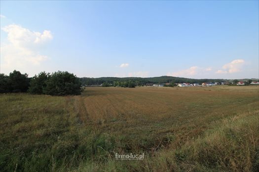 Działka rolna na sprzedaż Bogdaniec 1 500m2 Foto 3
