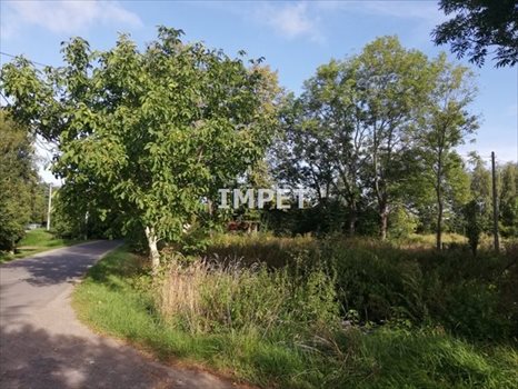 Działka inna na sprzedaż Jerzmanki 4 592m2 Foto 5