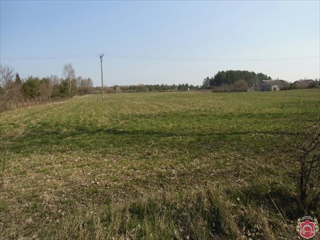 Działka komercyjna na sprzedaż Gdynia, Wiczlino, Wiczlińska 6 780m2 Foto 2