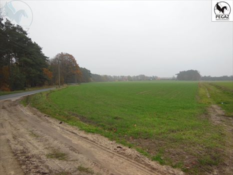 Działka budowlana na sprzedaż Lechlin 3 000m2 Foto 4