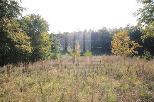 Działka siedliskowa na sprzedaż Grabówko, Jezioro, Las, Grabówko 3 100m2 Foto 11