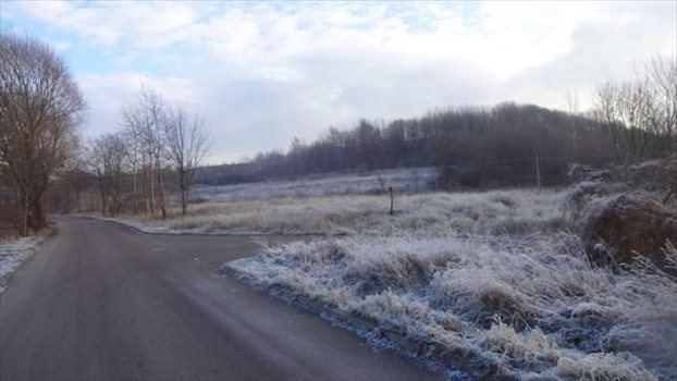 Działka budowlana na sprzedaż Tolkmicko, Tolkmicko 4 623m2 Foto 4