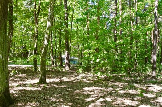 Działka budowlana na sprzedaż Sokolniki-Las, Jagiellońska 982m2 Foto 12