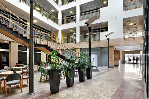 Lokal użytkowy na wynajem Gdynia, Śródmieście 610m2 Foto 12