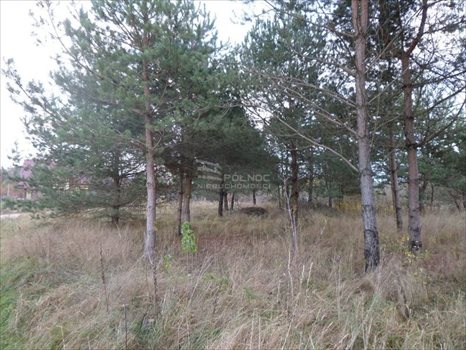 Działka budowlana na sprzedaż Czaplino 1 600m2 Foto 7
