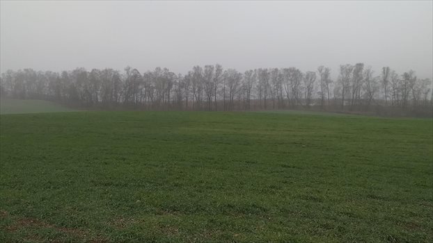 Działka gospodarstwo rolne na sprzedaż Ełk 7 000 000m2 Foto 7