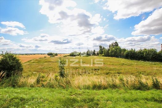 Działka inna na sprzedaż Szpęgawsk, Jezioro, Kościół, Las, Przystanek autobusowy, Szko, brak 15 700m2 Foto 9