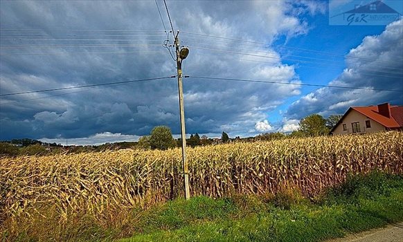 Działka budowlana na sprzedaż Ostrów 2 700m2 Foto 7