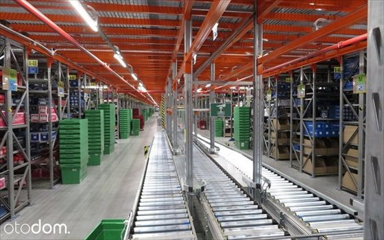 Lokal użytkowy na wynajem Płock 2 500m2 Foto 4