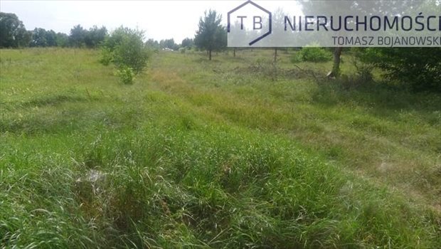 Działka budowlana na sprzedaż Powidz, Ostrowo, Nad Jeziorem 15 000m2 Foto 3