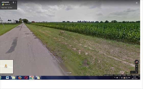 Działka budowlana na sprzedaż Droszew, Droszew 800m2 Foto 3
