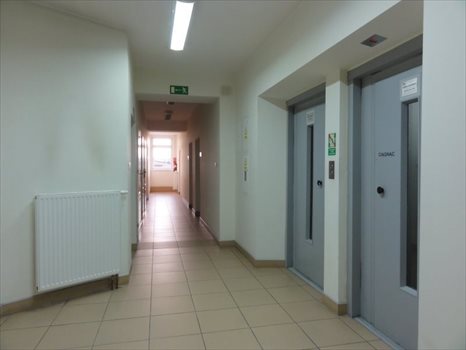 Lokal użytkowy na sprzedaż Wrocław, Psie Pole 3 770m2 Foto 9
