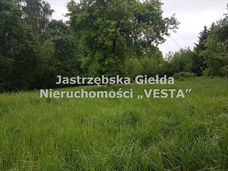 Działka inna na sprzedaż Jastrzębie-Zdrój 1 410m2 Foto 3