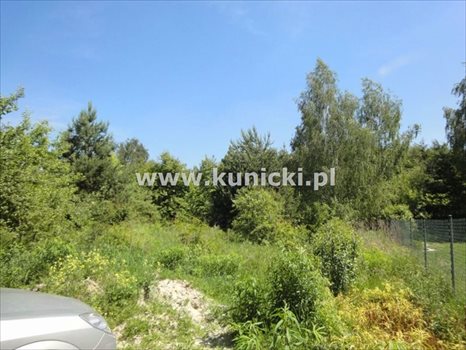 Działka inna na sprzedaż Łoś, Polna 1 200m2 Foto 3