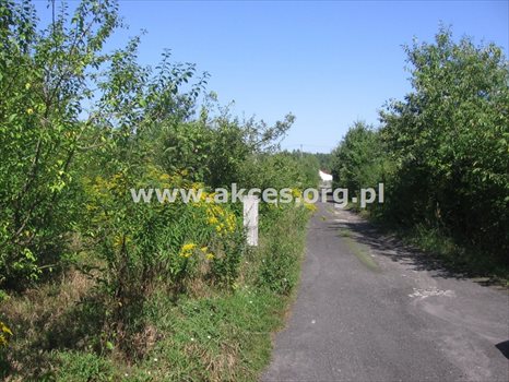Działka budowlana na sprzedaż Łoś, Łoś, Polna 933m2 Foto 3