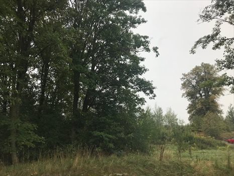 Działka budowlana na sprzedaż Henryków Lubański 1 511m2 Foto 7