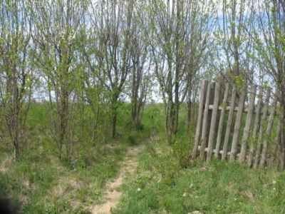 Działka rolna na sprzedaż Brajniki, Brajniki 3 000m2 Foto 2
