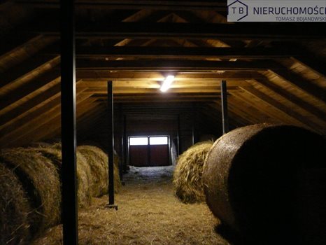Dom na sprzedaż Szamotuły 1 500m2 Foto 13