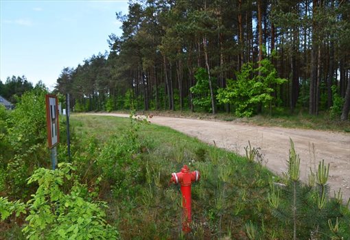 Działka budowlana na sprzedaż Kamień, Rubinowa 1 214m2 Foto 5