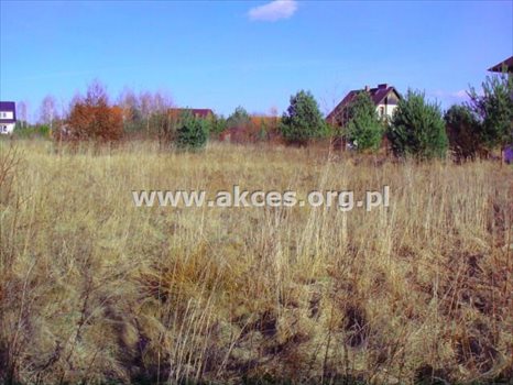 Działka budowlana na sprzedaż Łoś 1 390m2 Foto 10