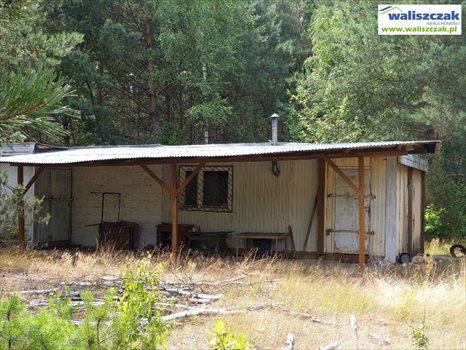 Działka budowlana na sprzedaż Szarbsko 3 600m2 Foto 5