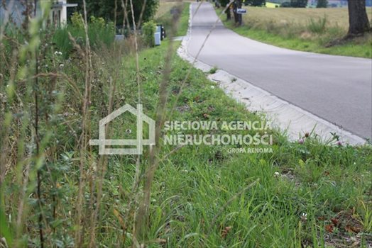 Działka budowlana na sprzedaż Tokary 2 540m2 Foto 7