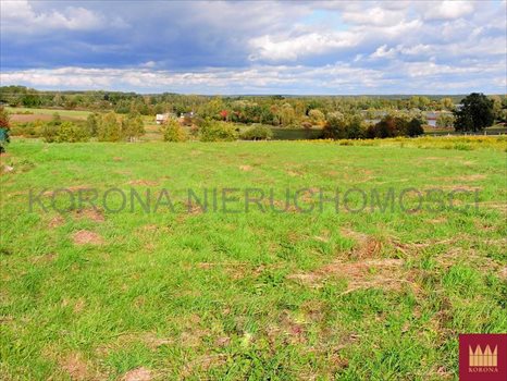 Działka budowlana na sprzedaż Rybnik, Chwałęcice 2 448m2 Foto 4