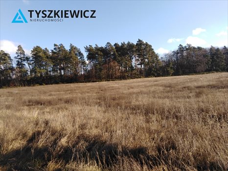 Działka budowlana na sprzedaż Boroszewo 1 000m2 Foto 2