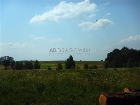Działka budowlana na sprzedaż Ostrowin 1 500m2 Foto 2
