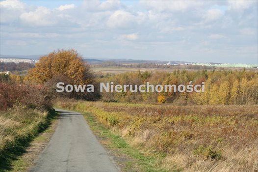 Działka inna na sprzedaż Wałbrzych, Poniatów 1 285m2 Foto 8