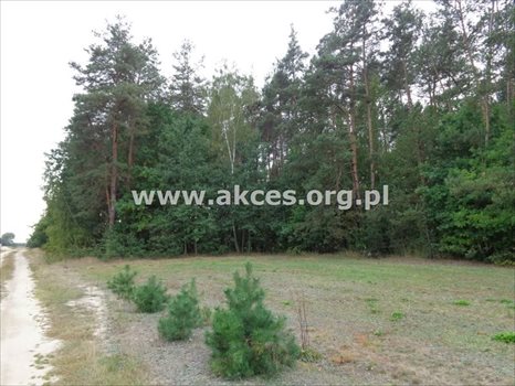 Działka budowlana na sprzedaż Prace Duże 1 445m2 Foto 7