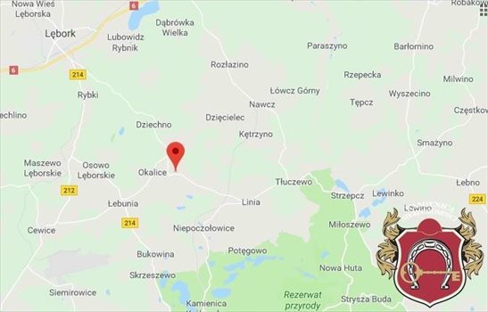 Działka komercyjna na sprzedaż Zakrzewo 14 600m2 Foto 2