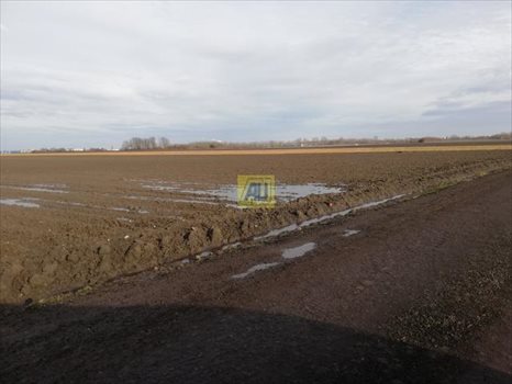 Działka inwestycyjna na sprzedaż Dawidy 20 000m2 Foto 2
