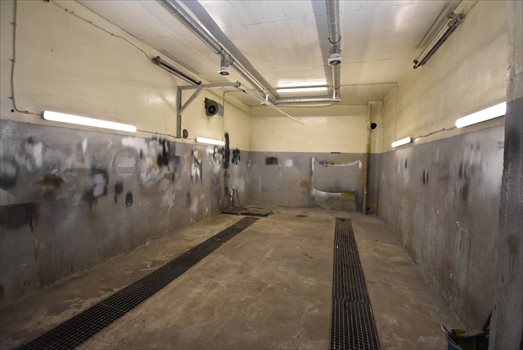 Lokal użytkowy na wynajem Zielona Góra 290m2 Foto 3