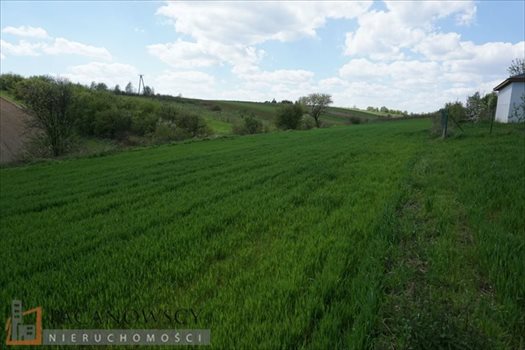 Działka budowlana na sprzedaż Cianowice Duże 2 990m2 Foto 6
