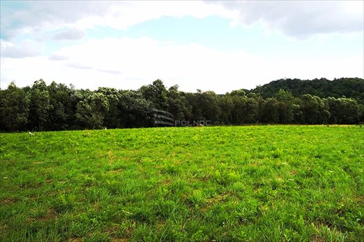 Działka budowlana na sprzedaż Włosań 1 200m2 Foto 8