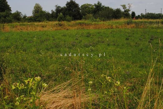 Działka budowlana na sprzedaż Nieszkowice Małe 1 205m2 Foto 2